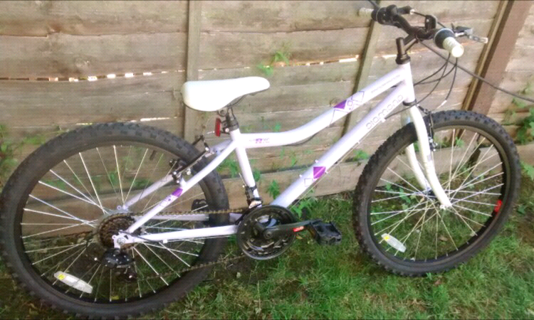 pazzaz 24 inch diamond rigid bike